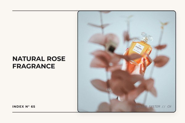 natural rose fragrance