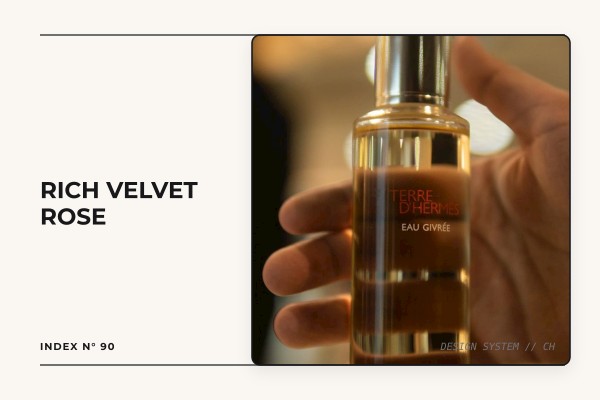 rich velvet rose