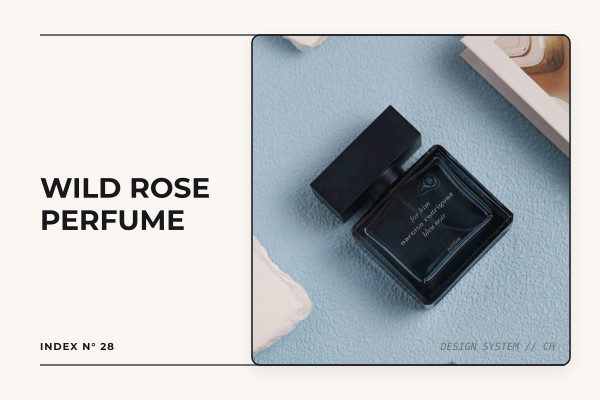 wild rose perfume