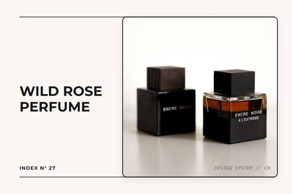 wild rose perfume